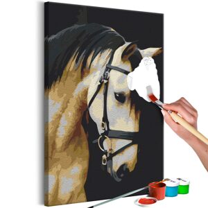 Obraz maľovanie podľa čísiel nádherný portrét koňa - Horse Portrait