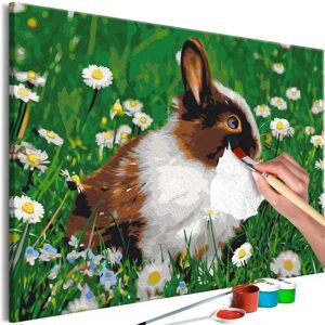 Obraz maľovanie podľa čísiel zajačik na lúke - Rabbit in the Meadow