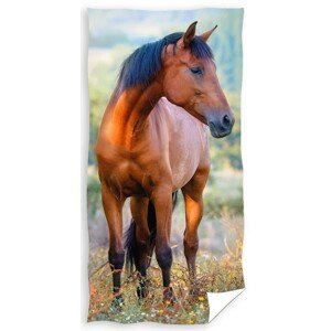 Rozprávkový bavlnený uterák s koňom Šírka: 30 cm | Dĺžka: 50 cm