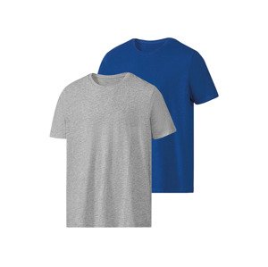 PARKSIDE® Pánske tričko, 2 kusy (L (52/54), modrá/sivá)
