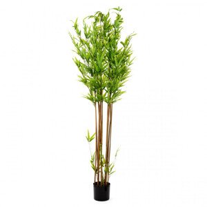 Umelá rastlina TROPICAL ZONE bambus 877921 180 cm